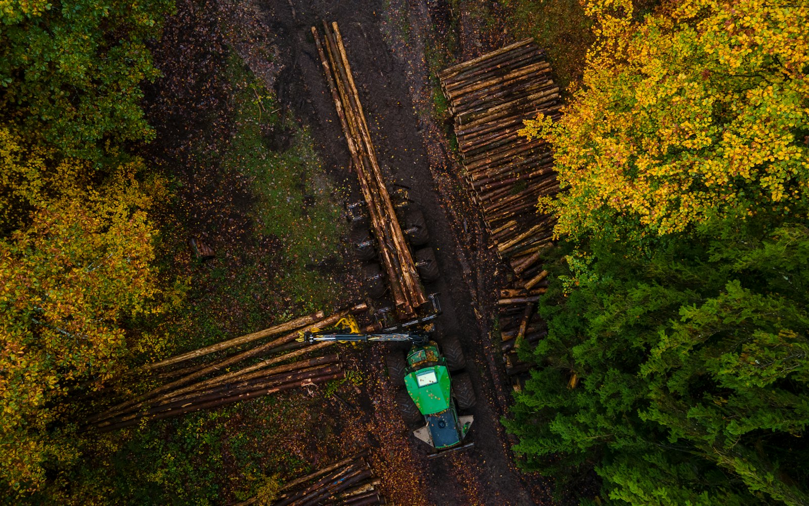 Top-down aerial of an active timber harvest — forwarder, staged log decks, and standing forest
